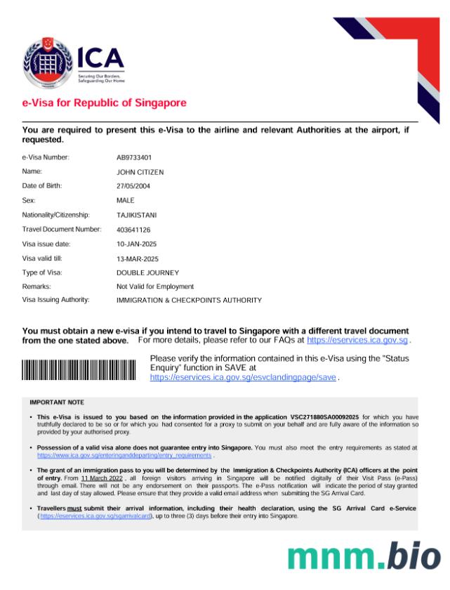 Szablon e-visa do Singapuru w wersji 2